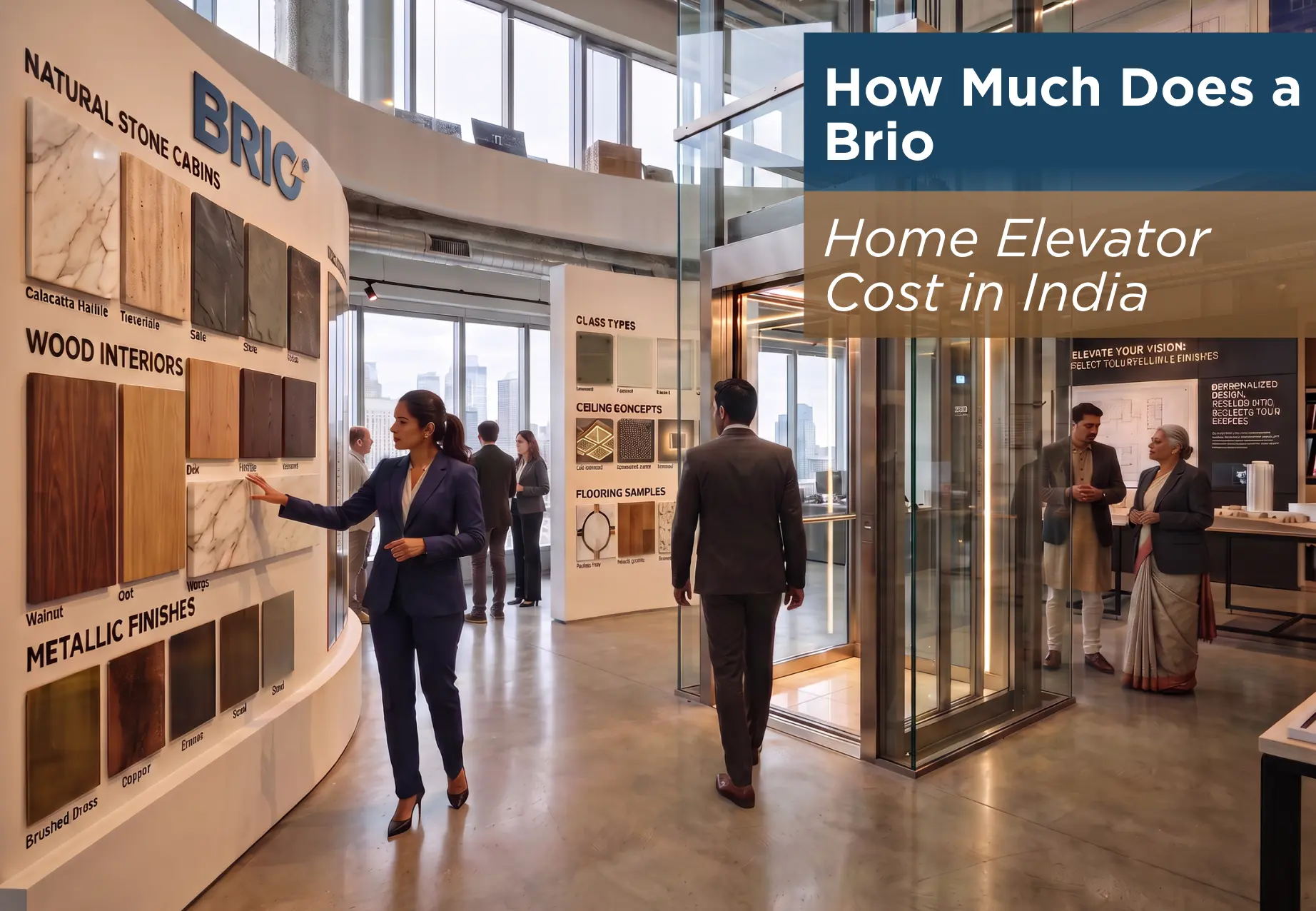 How Much Does a Brio Home Elevator Cost in India